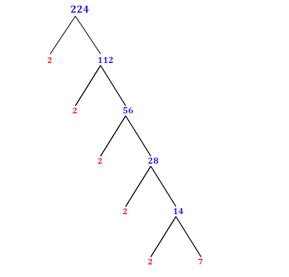 factors-of-224-find-prime-factorization-factors-of-224